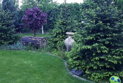 Casă individuală cu 5 camere cu Canalizare în Berceni - 15