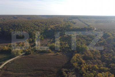 Casă cu 2 camere cu Teren 1000 Mp în Central - 1