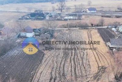 Teren Construcții intravilan de 10515 mp, în Bodești - 5