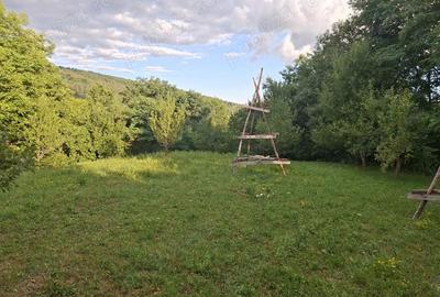 Teren de 5524 mp, în Poiana - 6