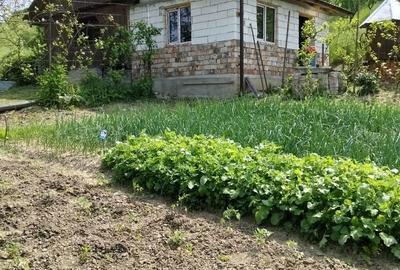Casă cu 3 camere în Fizeșu Gherlii - 2