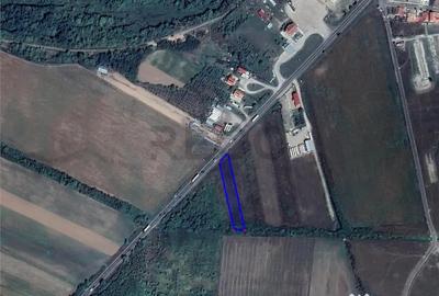 Teren de 2868 mp, în Tileagd - 2