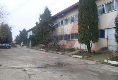 Hala industriala , productie sau depozitare ! - 1
