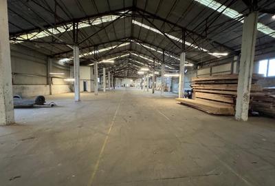 Inchiriere hala de 80 mp., Cluj-Napoca, Dambul Rotund, 4,5 Eur/mp. - 3