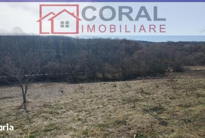 Teren de 5000 mp, în Șoimuș - 2