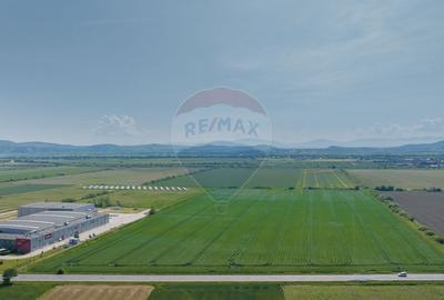 Teren Industrial Brasov / Soseaua DN13 - 2
