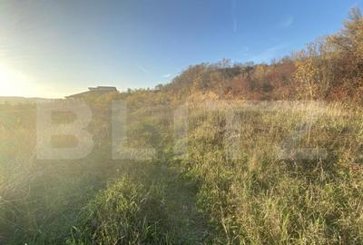 Teren intravilan in zona Sarmas in suprafata de 5332 mp - 4