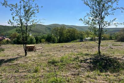 Spațiu comercial, în Corpadea