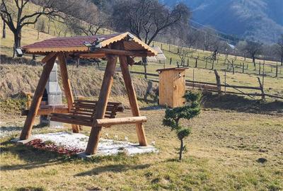 Teren intravilan de 1035 mp, în Râu Sadului - 13