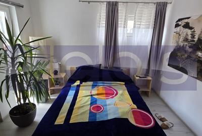 Garsonieră în Valea Oltului - 3