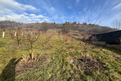 Teren cu casa renovabila in Suceag - 7