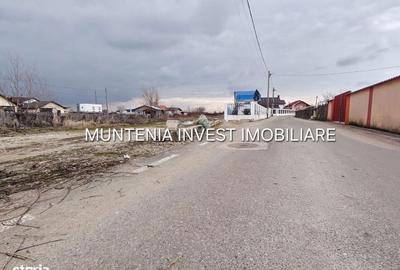 Spațiu comercial, în Bradu - 4