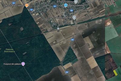 Teren agricol extravilan de 22100 mp, în Grădiștea - 3
