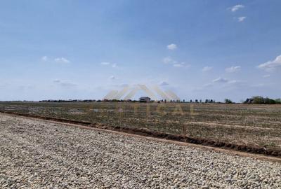 MAI AVEM DOAR DOUA!!! Rate 36 luni,gaz ,curent, com Berceni - 3