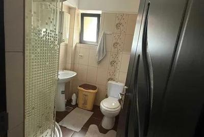 Apartament cu o camera - Lunca Cetatuii - Editurii - 3