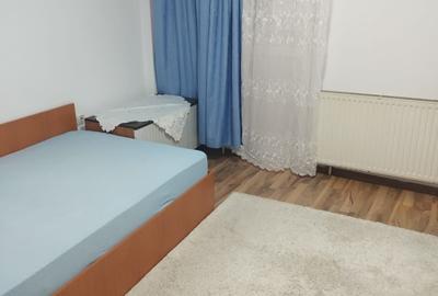 Gorjului -Militari, garsoniera in vila, centrală proprie - 3