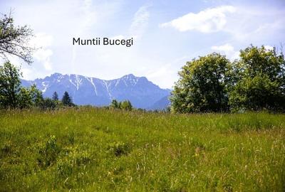 Teren intravilan - 1.050 mp în Bran cu utilitati - priveliște Bucegi - 9