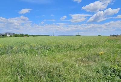 Teren Construcții intravilan de 2128 mp, în Tâncăbești - 3