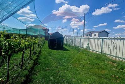 Investitie livada cu 116 pomi fructiferi in Comuna Livada - 4