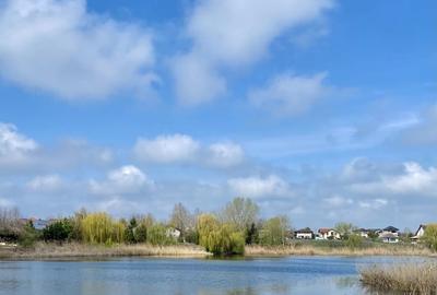 Teren la lac centru Corbeanca, vedere lac si padure, toate utilitatile - 10