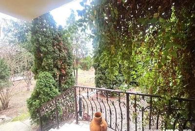 Casă cu 6 camere cu Teren 1566 Mp în Central - 16