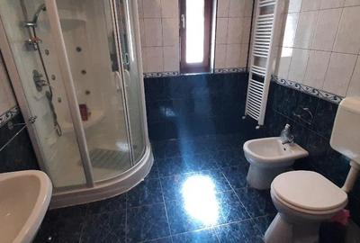 Casa de vacanta sau pensiune situata langa Cabana Trei Brazi Predeal - 12