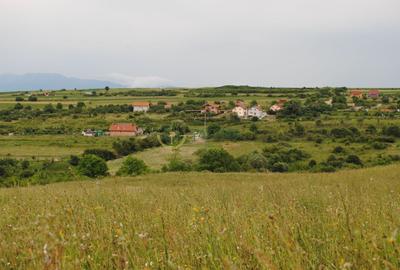 Teren 1,500 mp, vedere panoramica, Sibiu-Daia Noua - 4