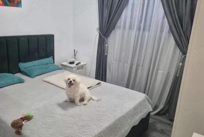 Apartament cu 2 camere decomandat în Berceni - 2