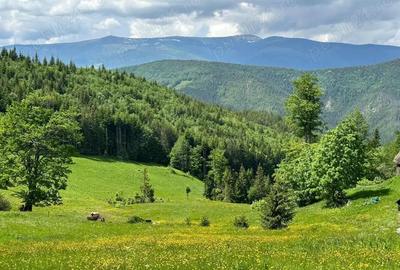 Vand teren extravilan - 5