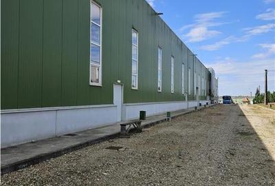 Spatiu Industrial - 6500 mp - Productie - Depozitare - Distributie - 19