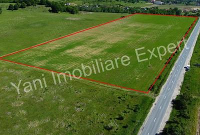 Teren de 69700 mp, în Tigveni - 3
