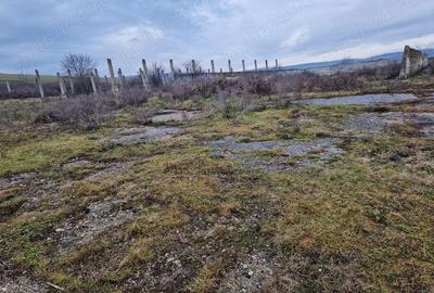 Teren de 15000 mp, în Cămărașu - 5