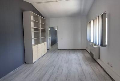 Spatiu industrial/comercial stradal pe soseaua Berceni - 19