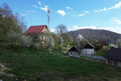Teren 1272 mp in Bucovina! Oras Gura Humorului! - 9