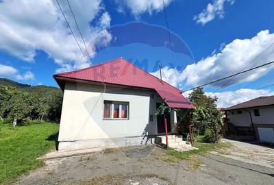 Casa de inchiriat in Baia Mare - 1