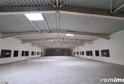 Hala productie depozitare 4800 mp, Timisoara exterior Nord