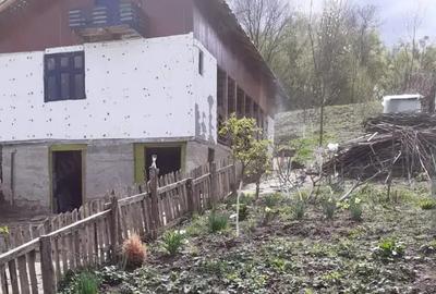 Cabana cu 850 mp teren intravilan - 1