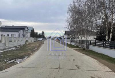 Suceava, Dumbraveni, depozit nou, pretabil orice activitate, - 12