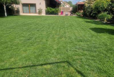 Casă cu 4 camere cu Teren 1458 Mp în Aradul Nou - 6