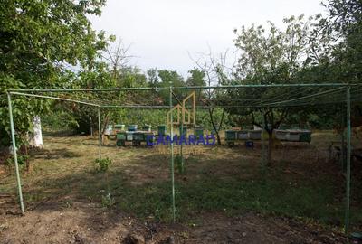 Proprietate cu casa si teren de 9000 mp - ideal investitie - Fundeni/Calarasi - 3