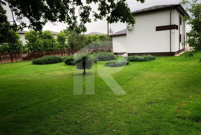 JOITA Lot 500 MP - 7