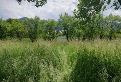 Teren intravilan Viisoara - 4