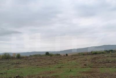 Teren 4500 mp intravilan, TOMESTI-GORUNI - 1