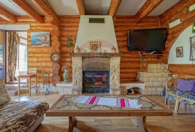 CASA INCONJURATA DE NATURA | DIN BUSTENI | 8 CAMERE | TIMISUL DE JOS - 3