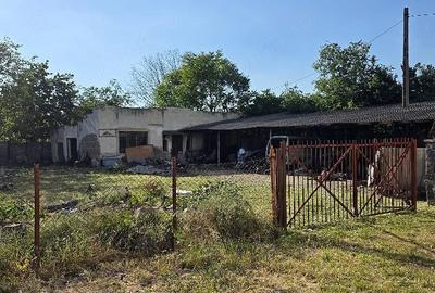 Casă cu 2 camere cu Teren 600 Mp în Elisabetin - 3
