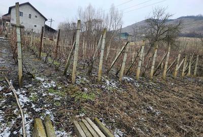 Casă în Târnăveni - 5