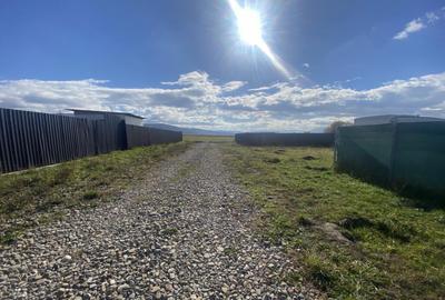 Teren de 500 mp, în Bicfalău - 4