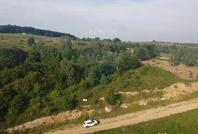 Teren de 1000 mp, în Sălicea - 5