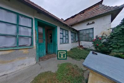 Casă tradițională cu teren generos în Secusigiu, județul Arad Casă tradițională cu teren generos în Secusigiu, județul Arad - 4