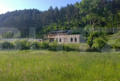 Casă cu 7 camere cu Teren 5000 Mp în Surduc - 9